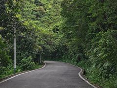 -火炉山森林公园