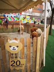 -萌宠亲子动物乐园(槐房万达店)