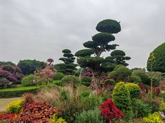 -南宁南湖公园