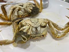 -青岛蓝海大饭店·爱琴海自助餐厅(崂山店)