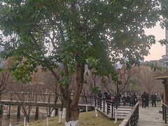 -沐仙湖湿地公园