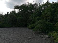 -东寨港红树林旅游区