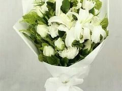 -万卉源鲜花店(百尚生活广场店)