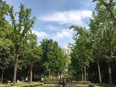 -苏州河梦清园环保主题公园