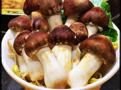 -一斗火锅·招财羊毛肚(北温泉九号店)