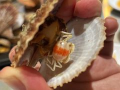 -大锅强·蒸海鲜青岛菜(吾悦广场店)