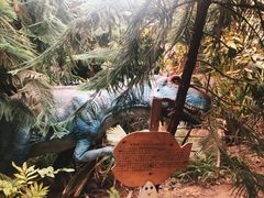 -呀路古热带植物园