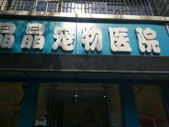 -瑞鹏宠物医院·爱宠堂·骨外专科(西荷分院)