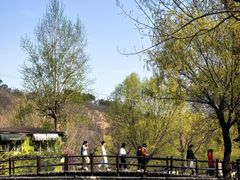 -北京水岸山吧度假村(雁栖镇店)