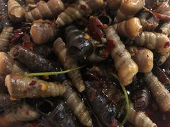 -虎虎龙虾大排档(双井店)