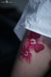 -飛凡TATTOO纹身•原创