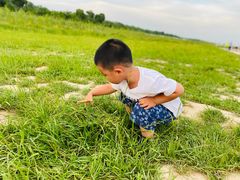 -合肥滨湖国家森林公园