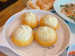 少城煎包-宽窄巷成都菜(青岛路万达广场店)