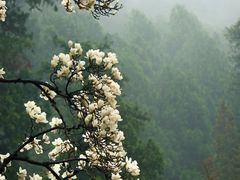 -终南山南五台景区