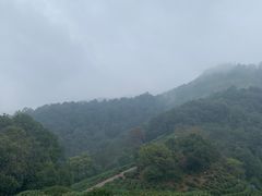 -西湖风景区十里琅珰-五云山