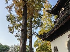 -汇龙潭