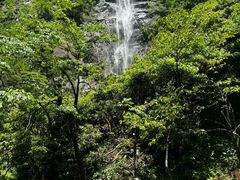 -明月山风景名胜区