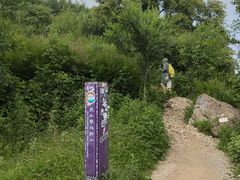 -北京鹫峰国家森林公园