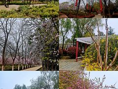 -洛阳市隋唐城遗址植物园