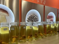 -鲜菌江湖正宗野生菌火锅