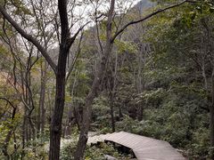 -大岭沟猕猴桃谷风景区