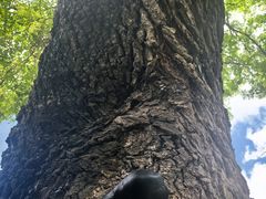 -玉泉观