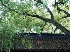 -上海醉白池公园