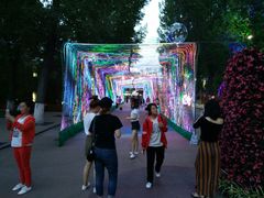 -哈尔滨文化公园