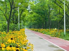 -绿堤公园