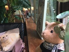 -咖法森林·咖啡  酒吧(天河店)