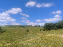 -塞罕坝国家级自然保护区