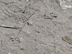 -少华山国家森林公园