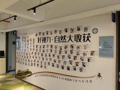 -苏州大学理想眼科医院