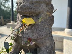 -天目湖山水园