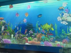 -酷嗒动物文化乐园(cutezoo西溪乐天城店)