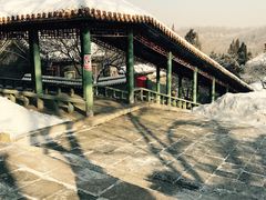 -高尔山公园