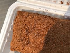 -老回回饺子馆(海洋馆店)