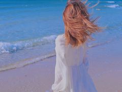 -西涌国际滨海旅游区