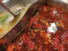 鸳鸯锅-电台巷火锅(科华总店)