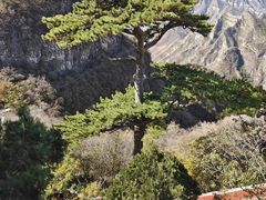 -圣莲山风景区