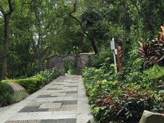 -广西壮族自治区药用植物园