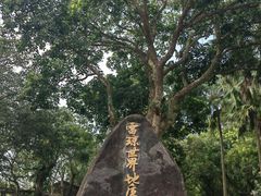 -海口火山口国家地质公园
