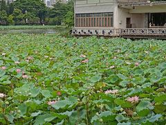 -荔湾湖公园