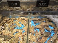 -加餐海鲜自助(宝龙一城店)