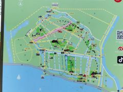 -合肥滨湖国家森林公园