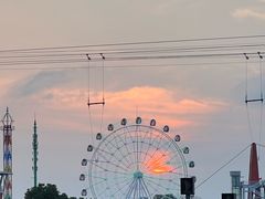 -花博汇(知音花月夜)
