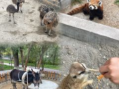 -水上乐园·欢乐世界