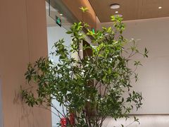 -YCHL FIT健身(前海周大福店)