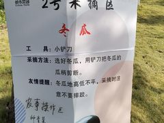 -上海都市菜园