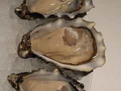 -Oyster Talks 四度蚝法餐厅